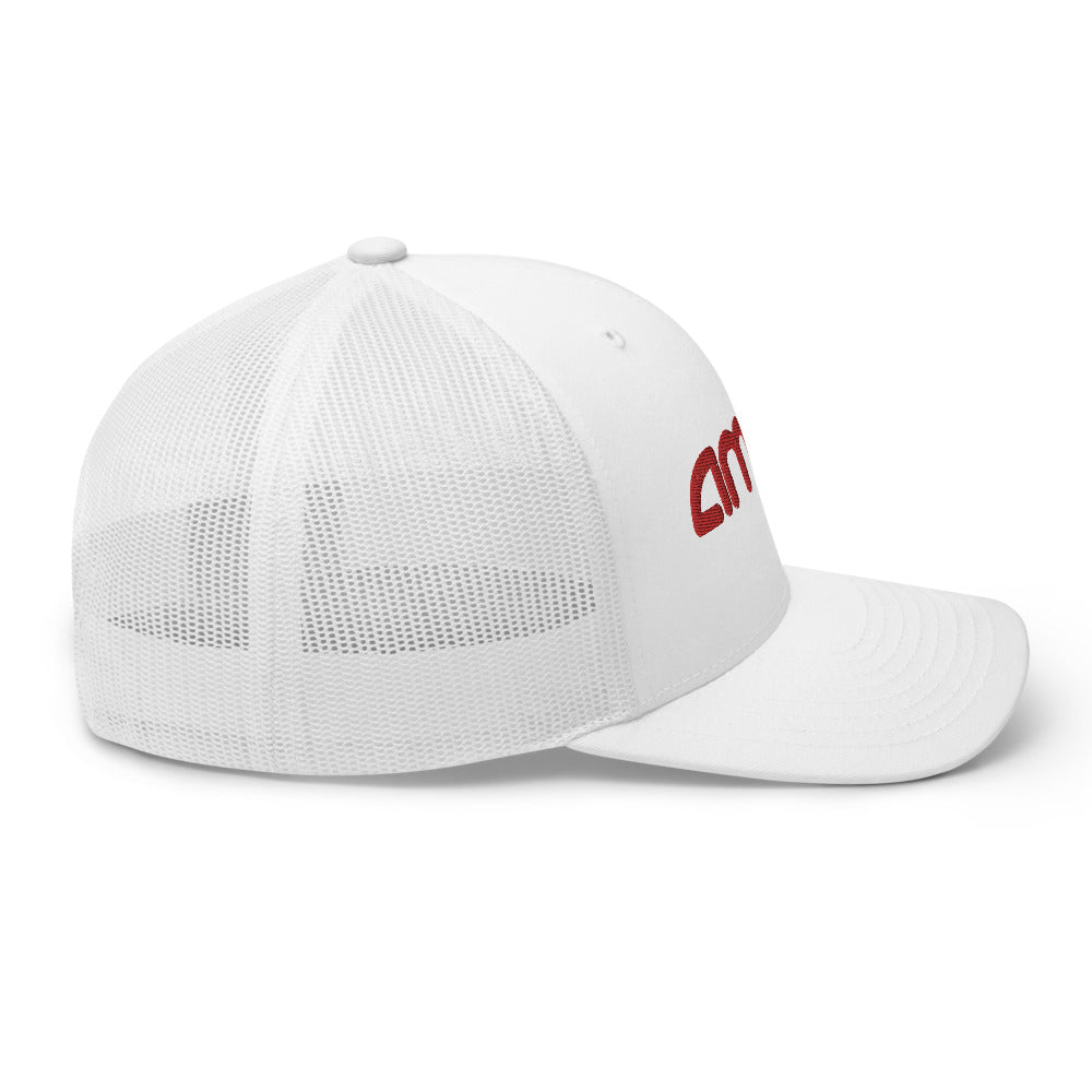 AMC to the moon Trucker Hat | Stock Market Investor Gift | Stonksabove.com